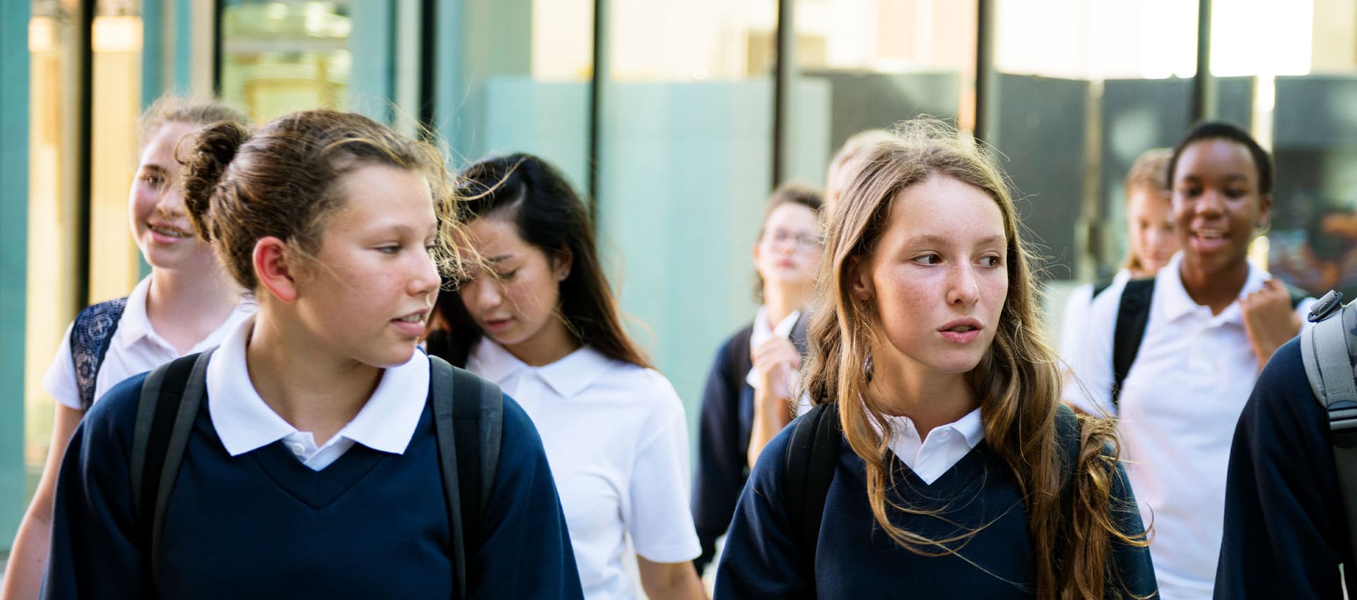 Opiniones sobre la educación diferenciada en España
