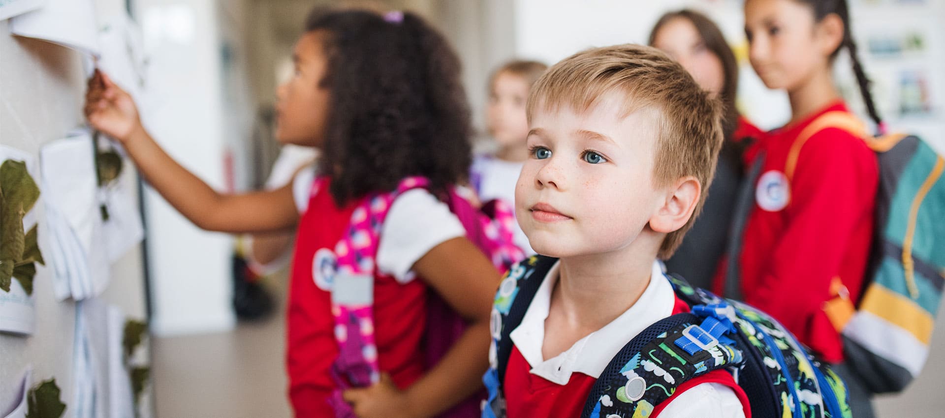 Opiniones sobre jornada continua o partida en los colegios